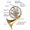 French Horn Rental